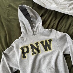 Champion Gray PNW Hoodie